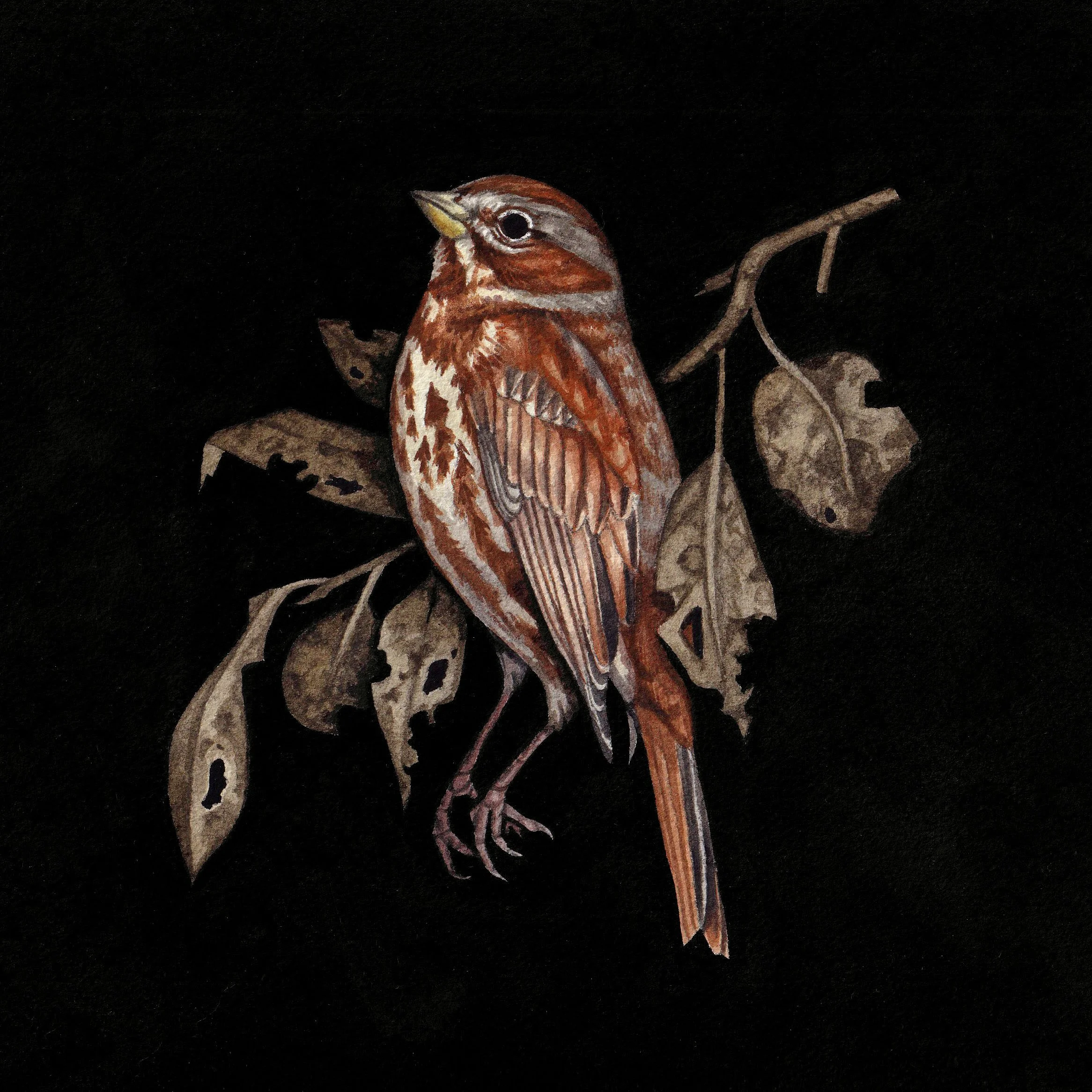 TheSoftCollapse copy.jpg