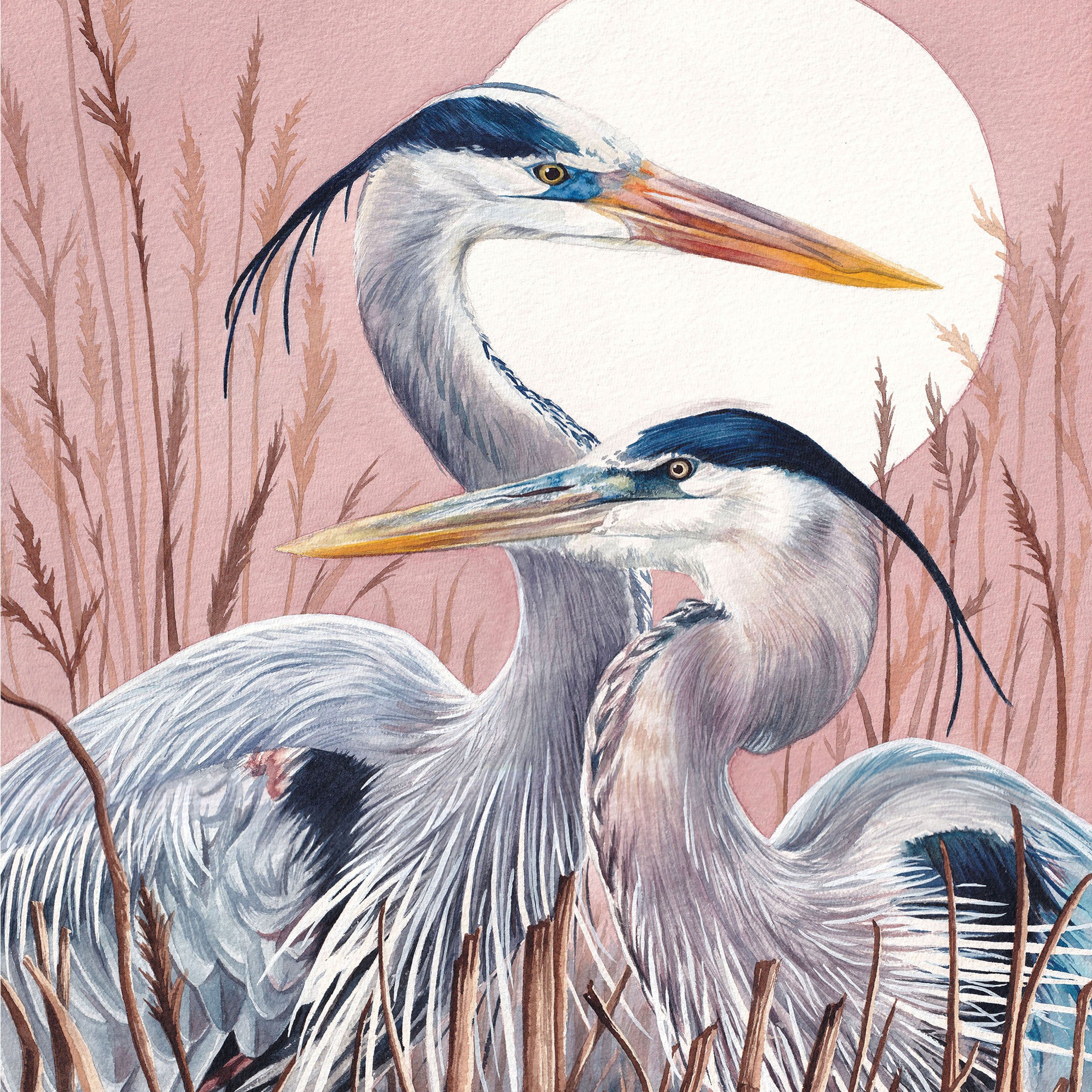 herons2.jpg