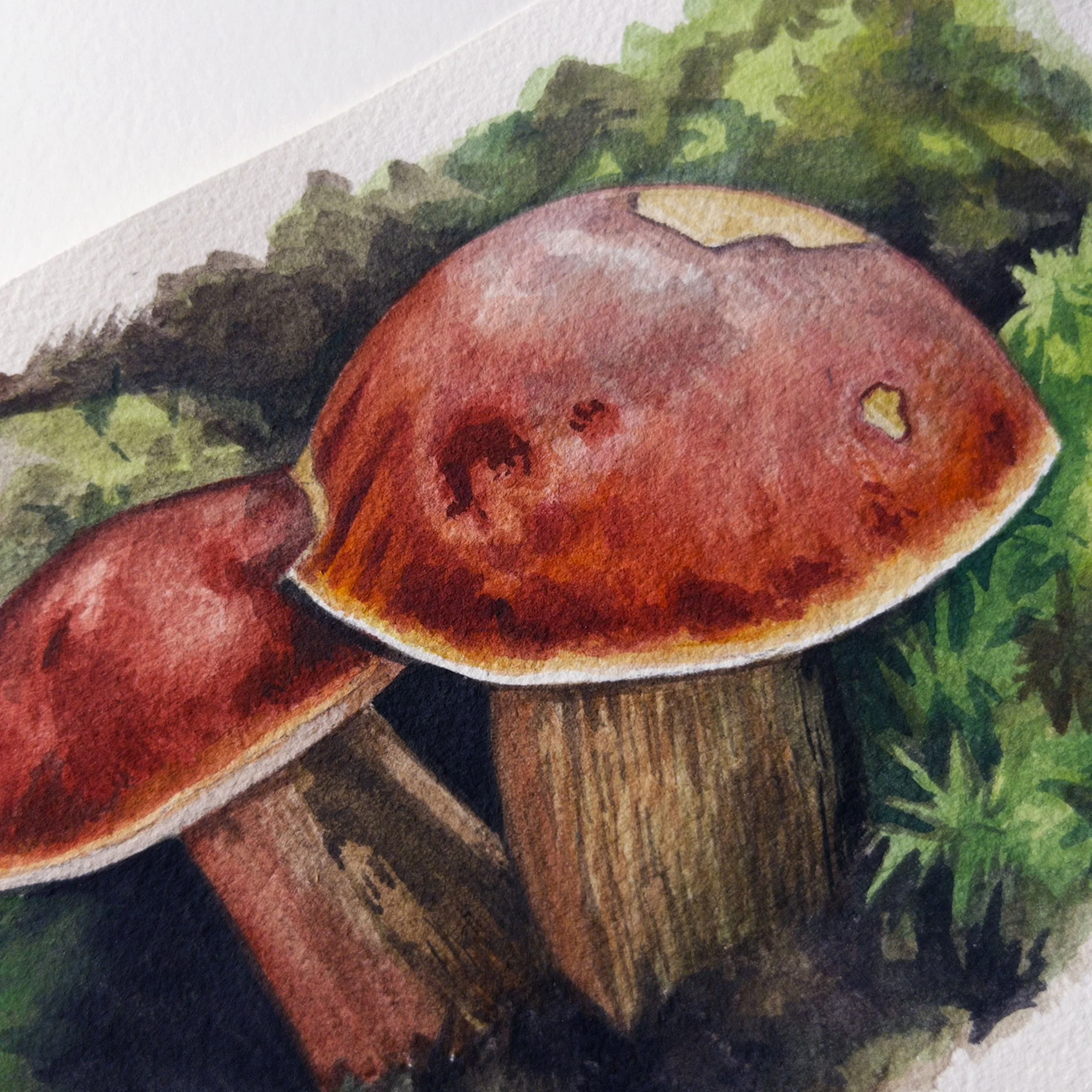 mushroom3.jpg