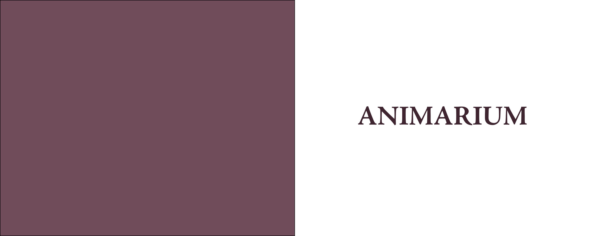 Thesis Book website edit3.jpg