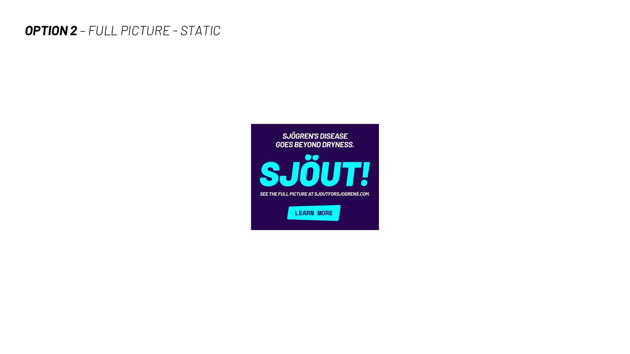 sjd porfolio combined-2.png