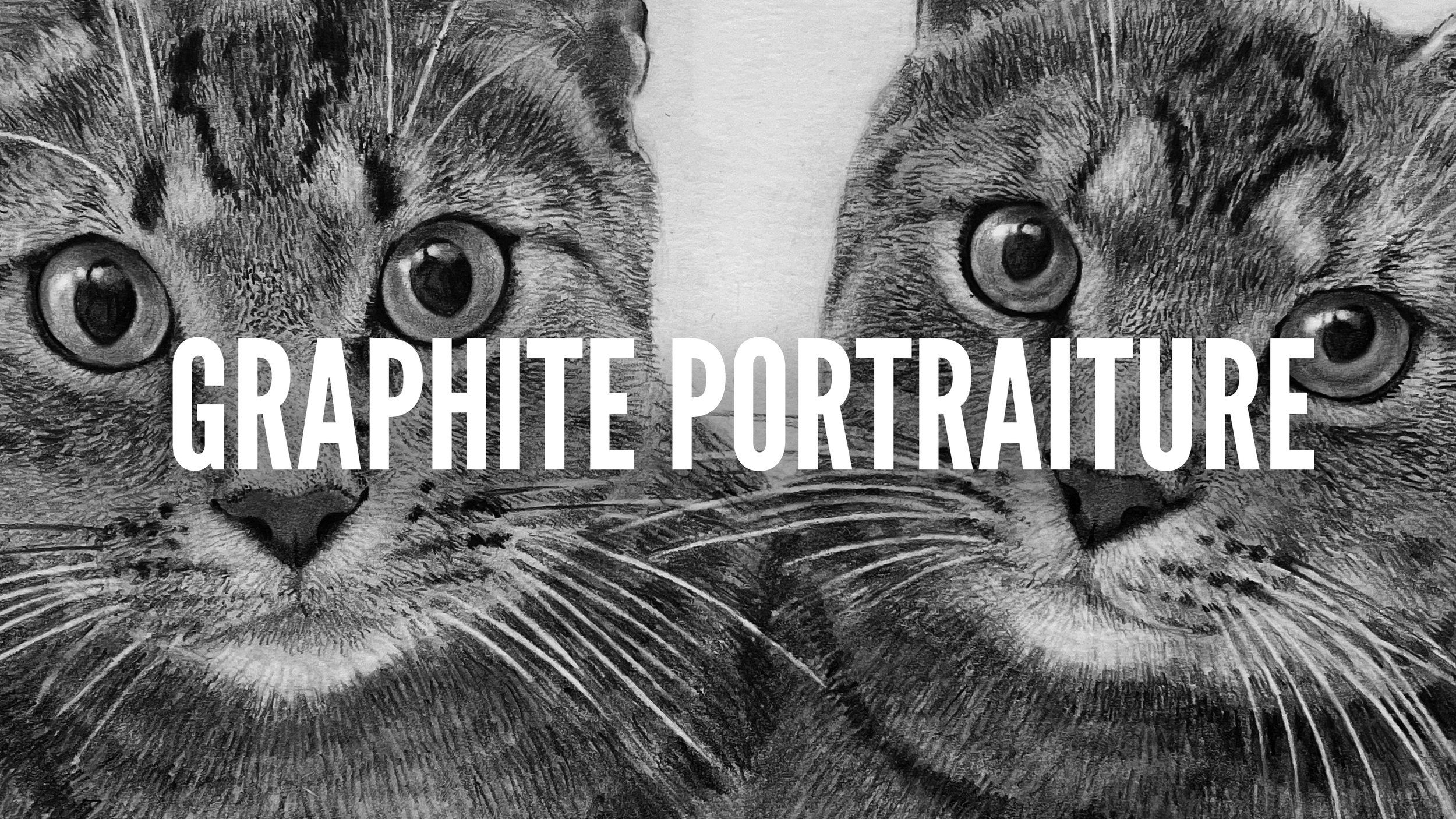 portraiture cover page.png