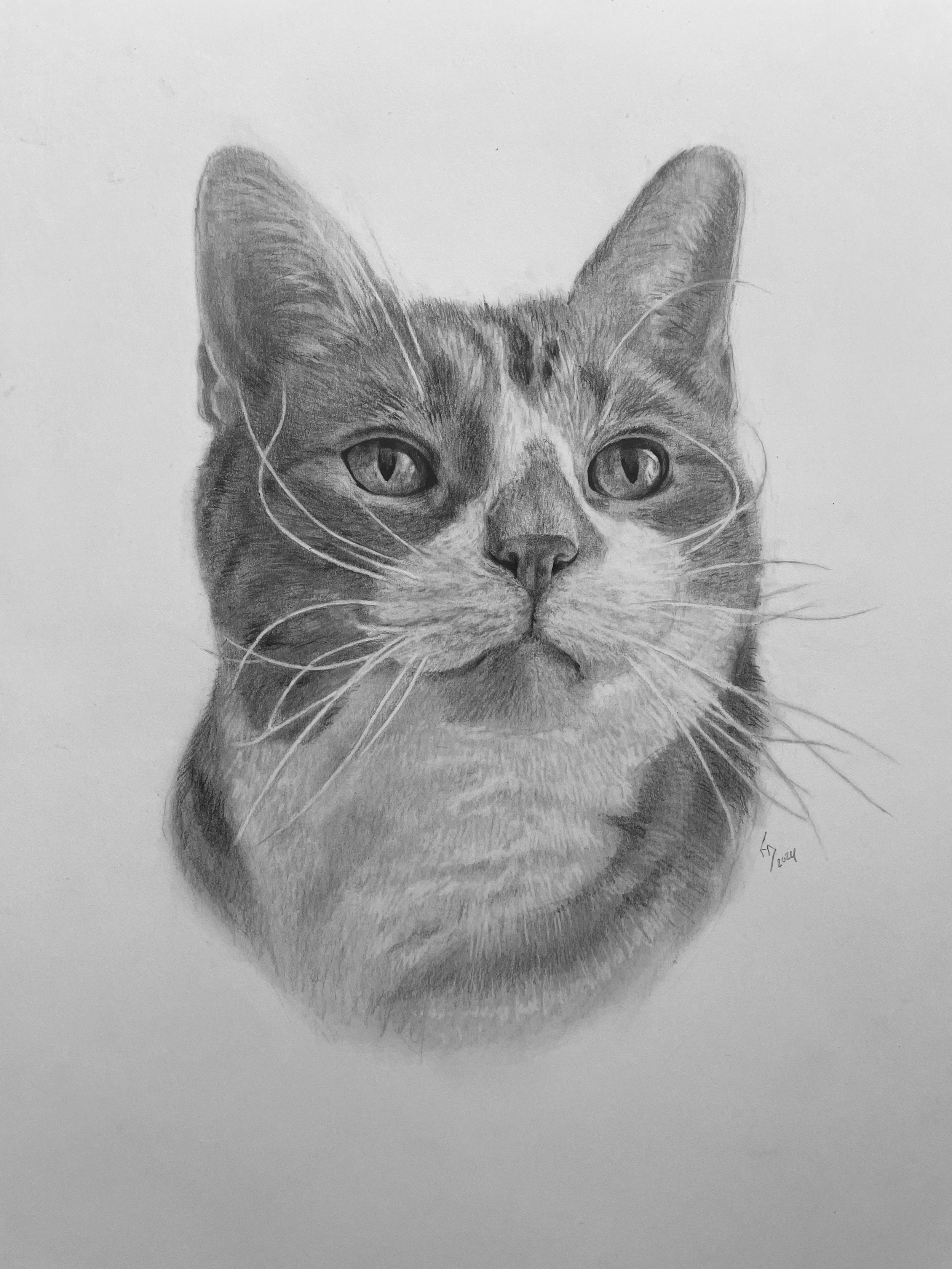IMG_8382.png