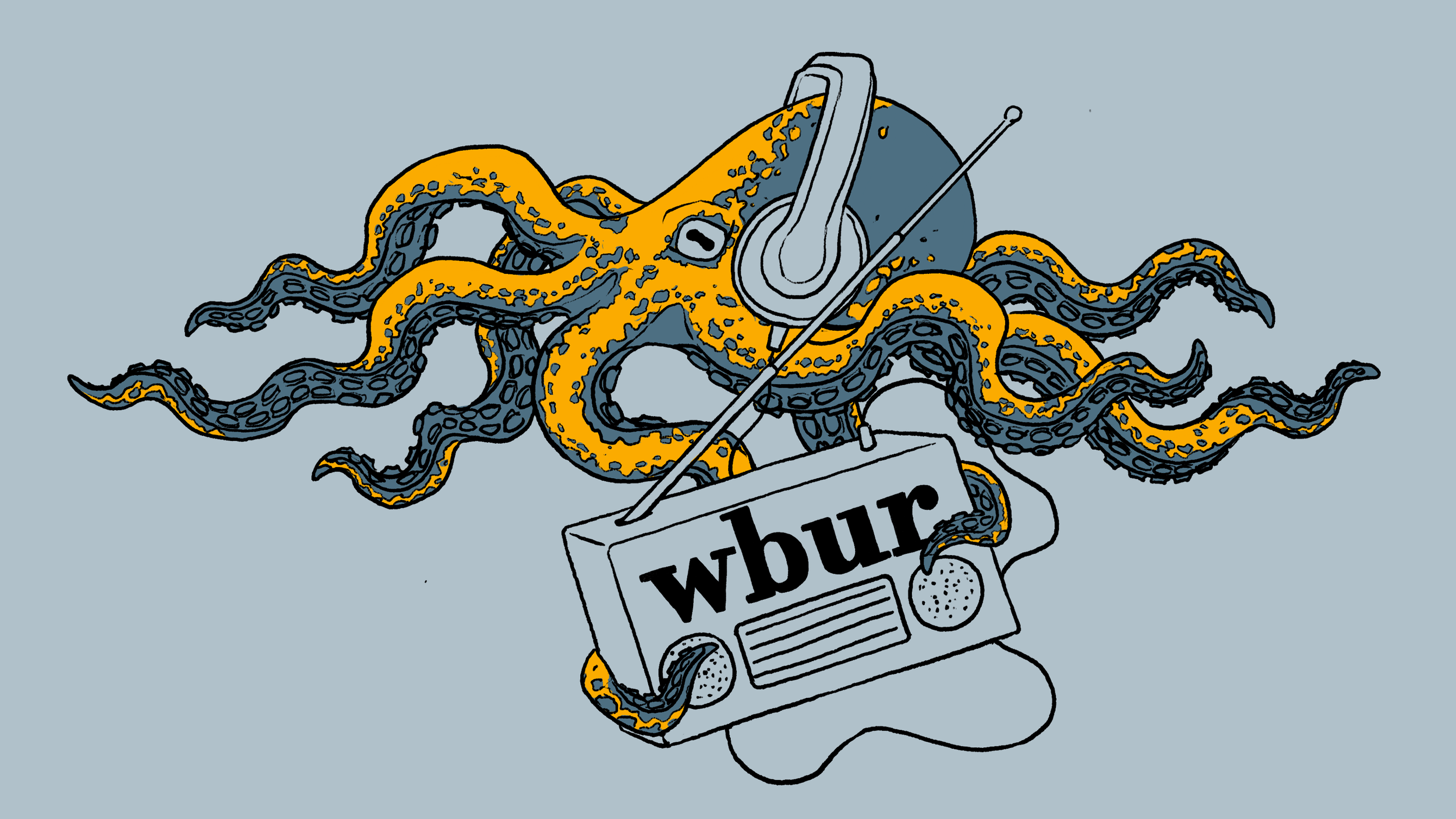 wbur cover image.png