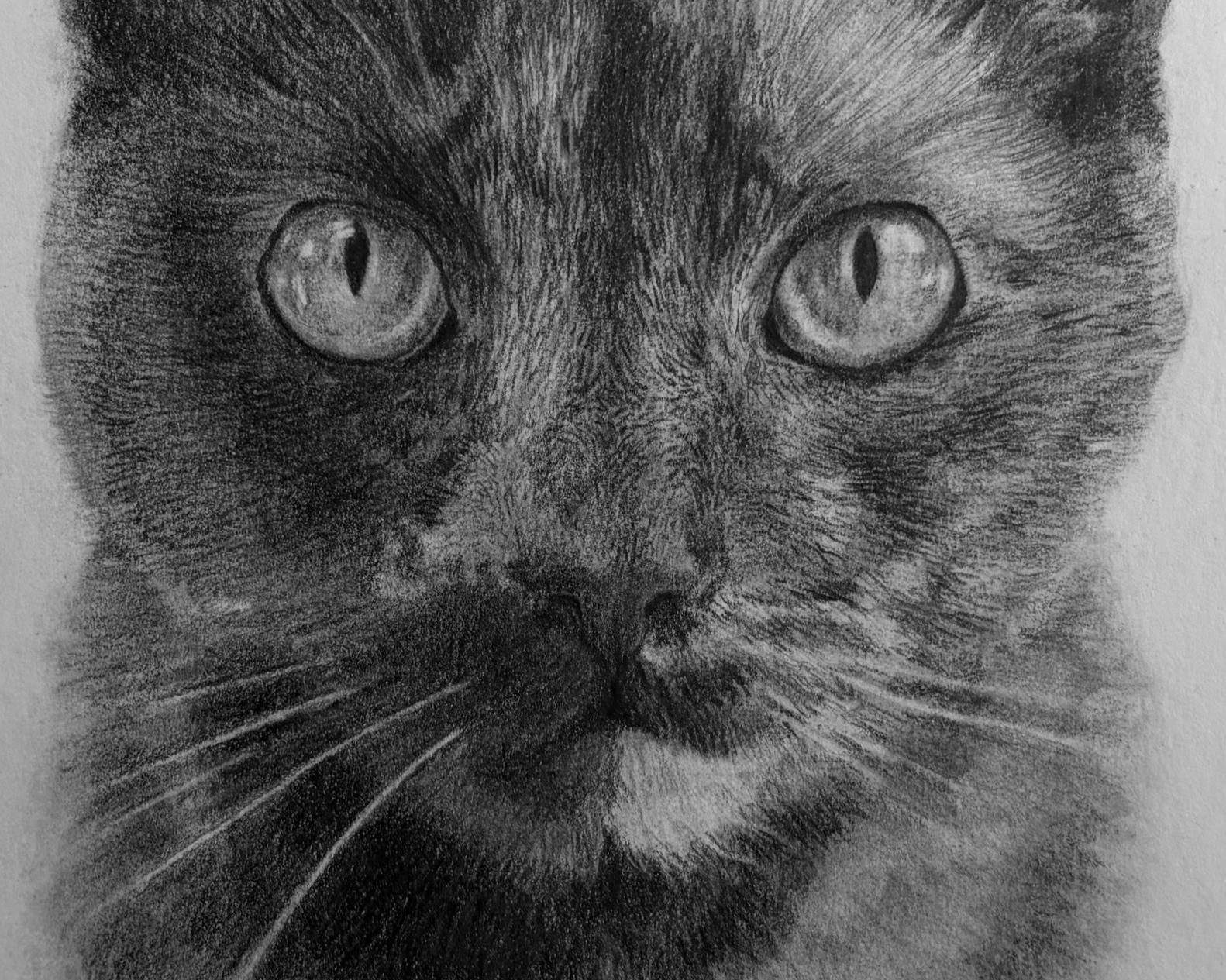 Portraiture