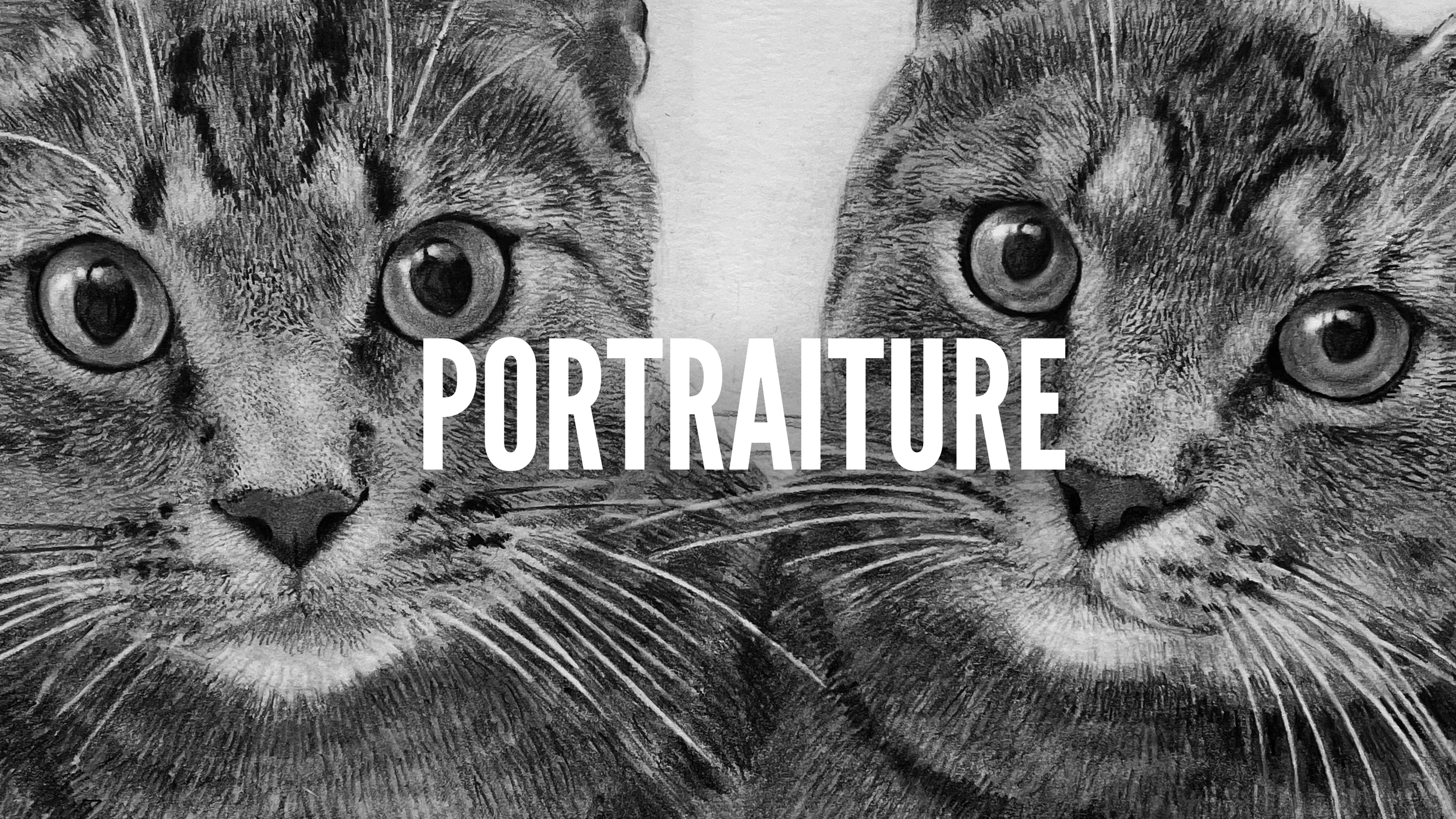 portraiture cover page.png