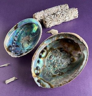 abalone shell smudge dish .jpeg