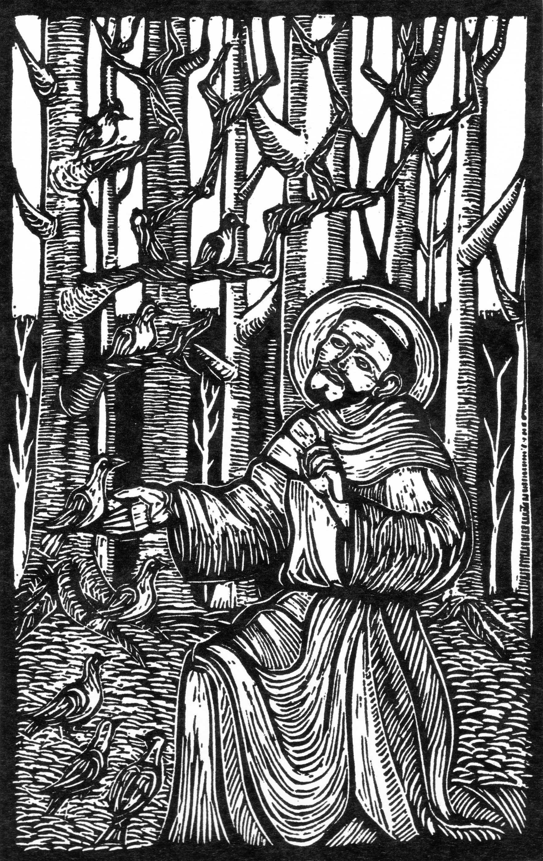 San Francesco - Predica agli Uccelli 25x35