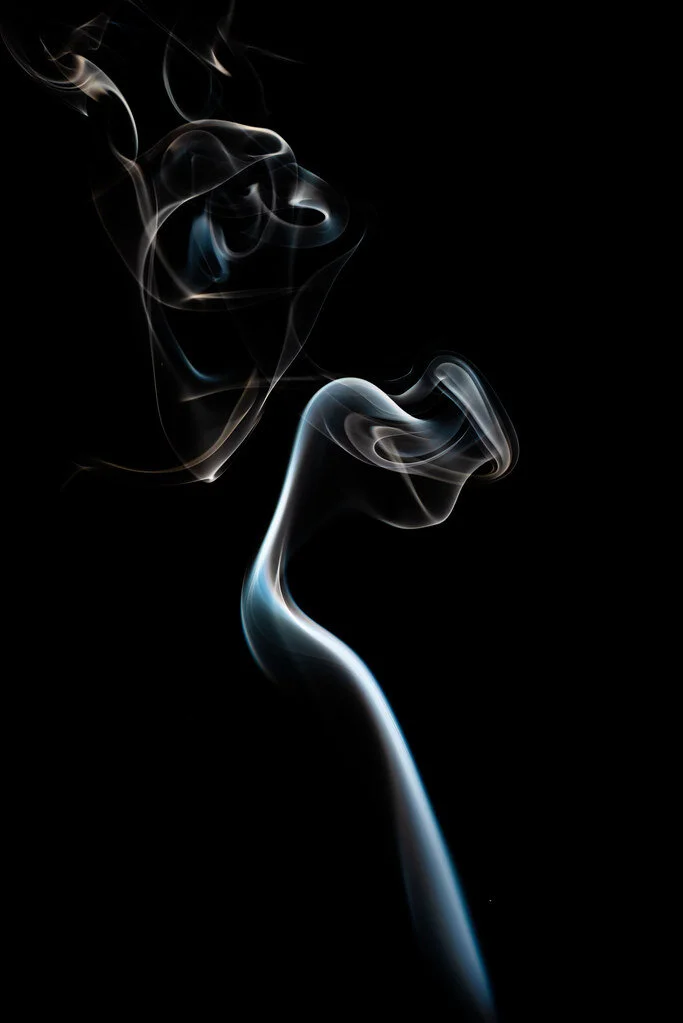 49753441537_ec44a9dc3e_b.jpg
