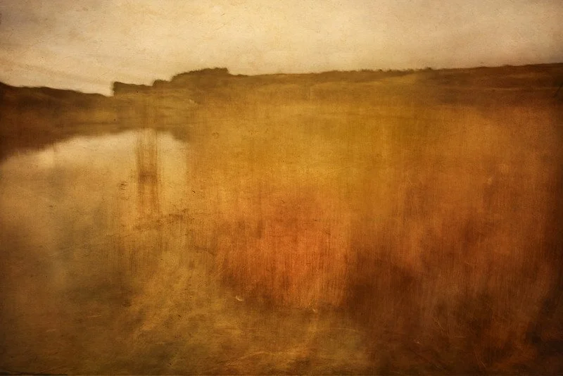 Reeds In Water.jpg