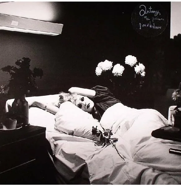 ANTONY & THE JOHNSONS - I AM A BIRD NOW