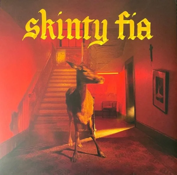 FONTAINES DC - SKINTY FIA