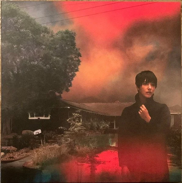 SHARON VAN ETTEN - WE'VE BEEN GOING ABOUT THIS ALL WRONG (LTD)