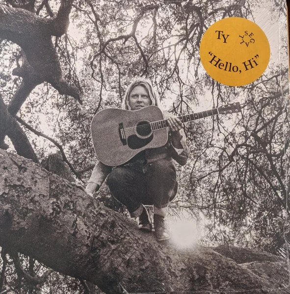 TY SEGALL - HELLO, HI