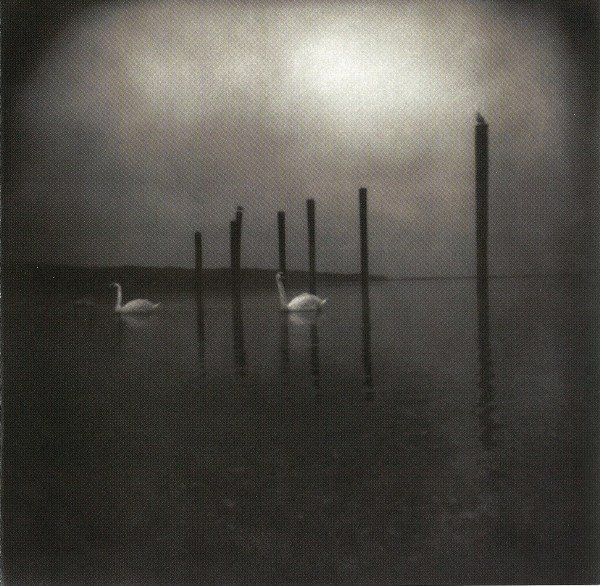OM - CONFERENCE OF THE BIRDS