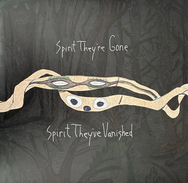 ANIMAL COLLECTIVE - SPIRIT THEY ́RE..(COLOR)