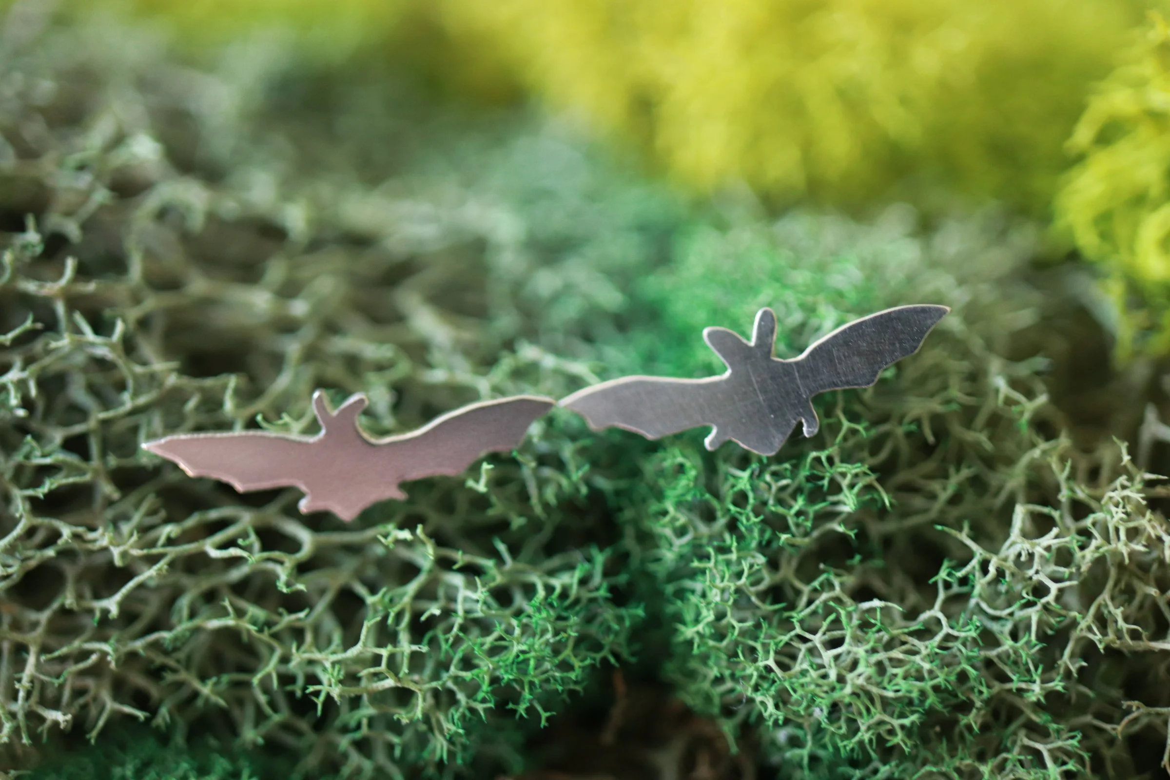 1000052461.jpg