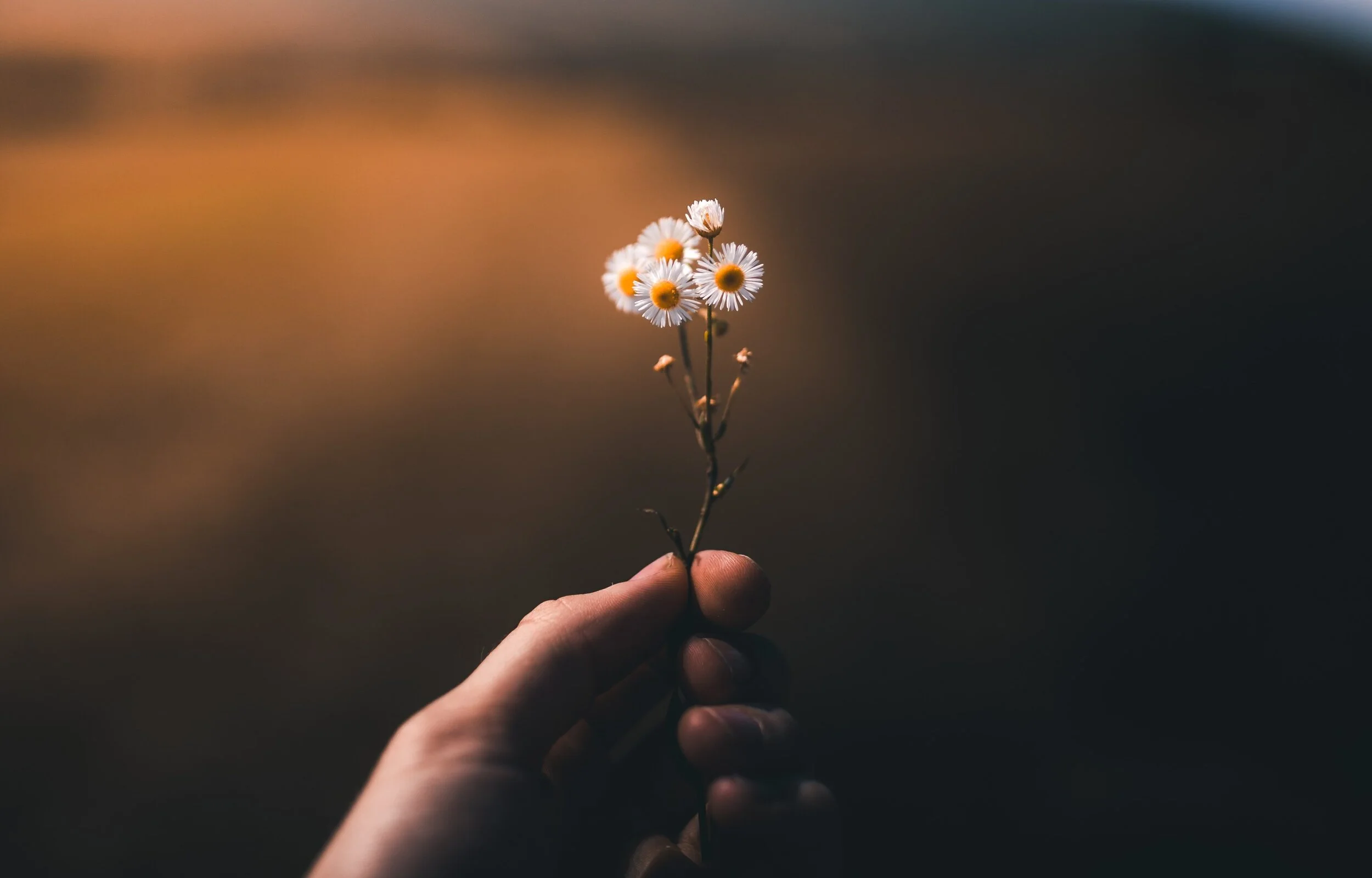 How to Stay Positive After Early Bad News