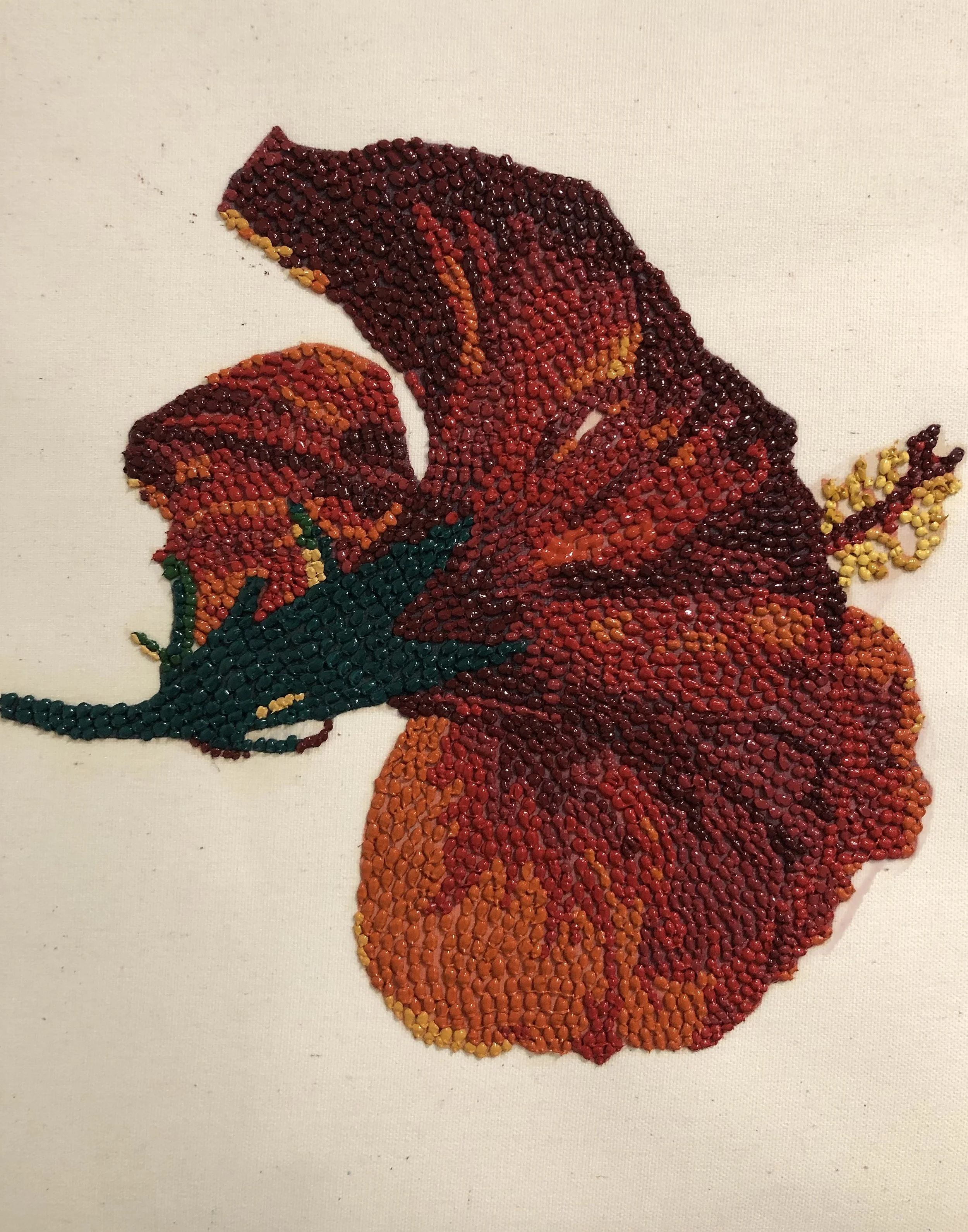 Iris