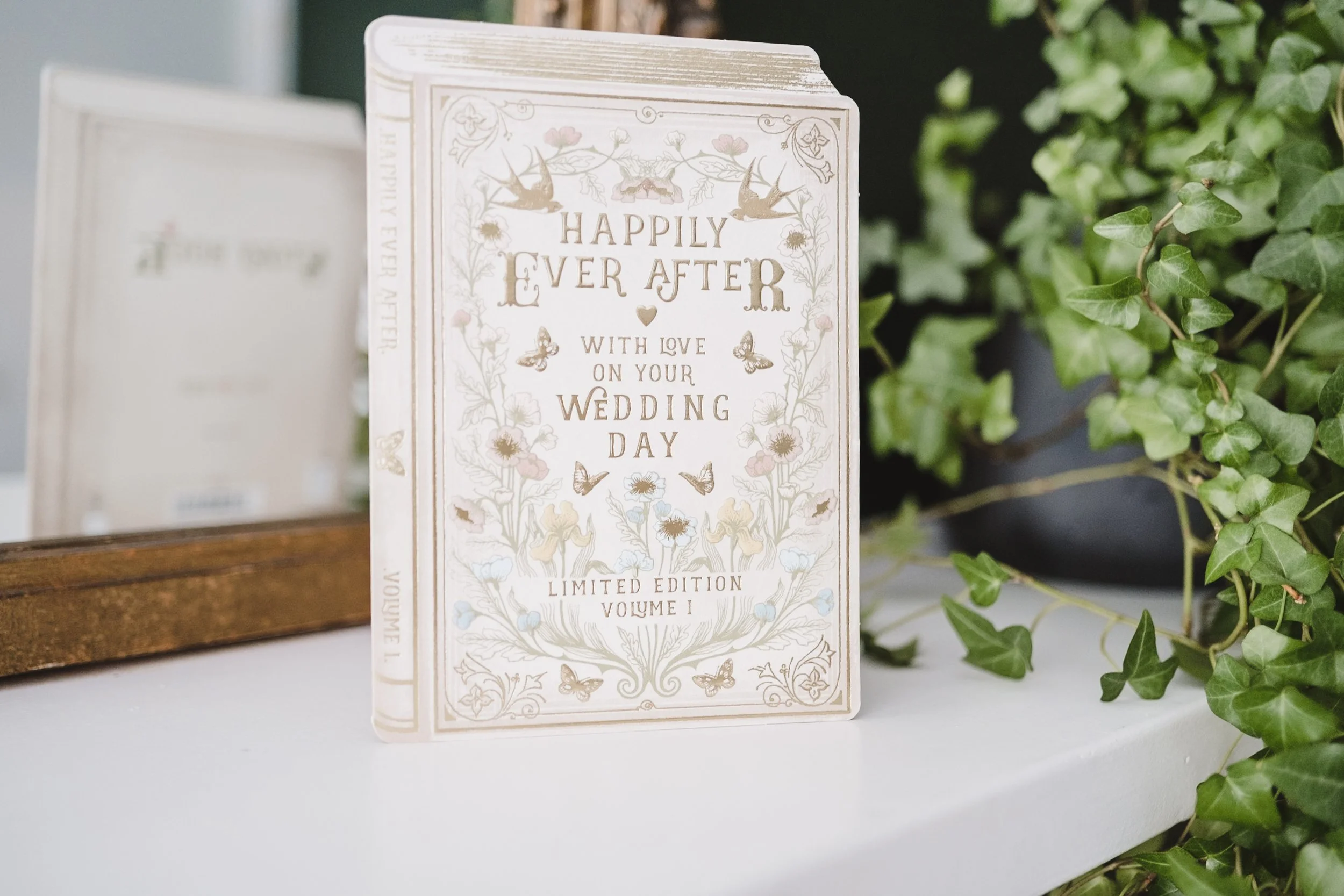 Bath wedding photographer-1-2.jpg
