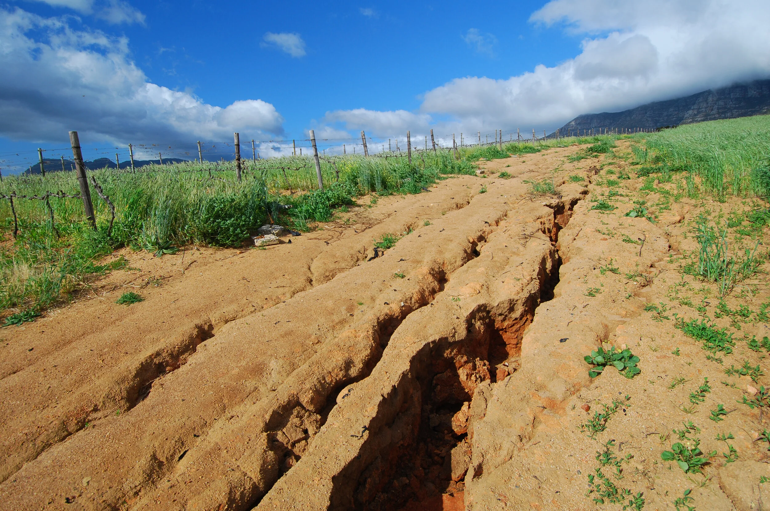 erosioncontrol