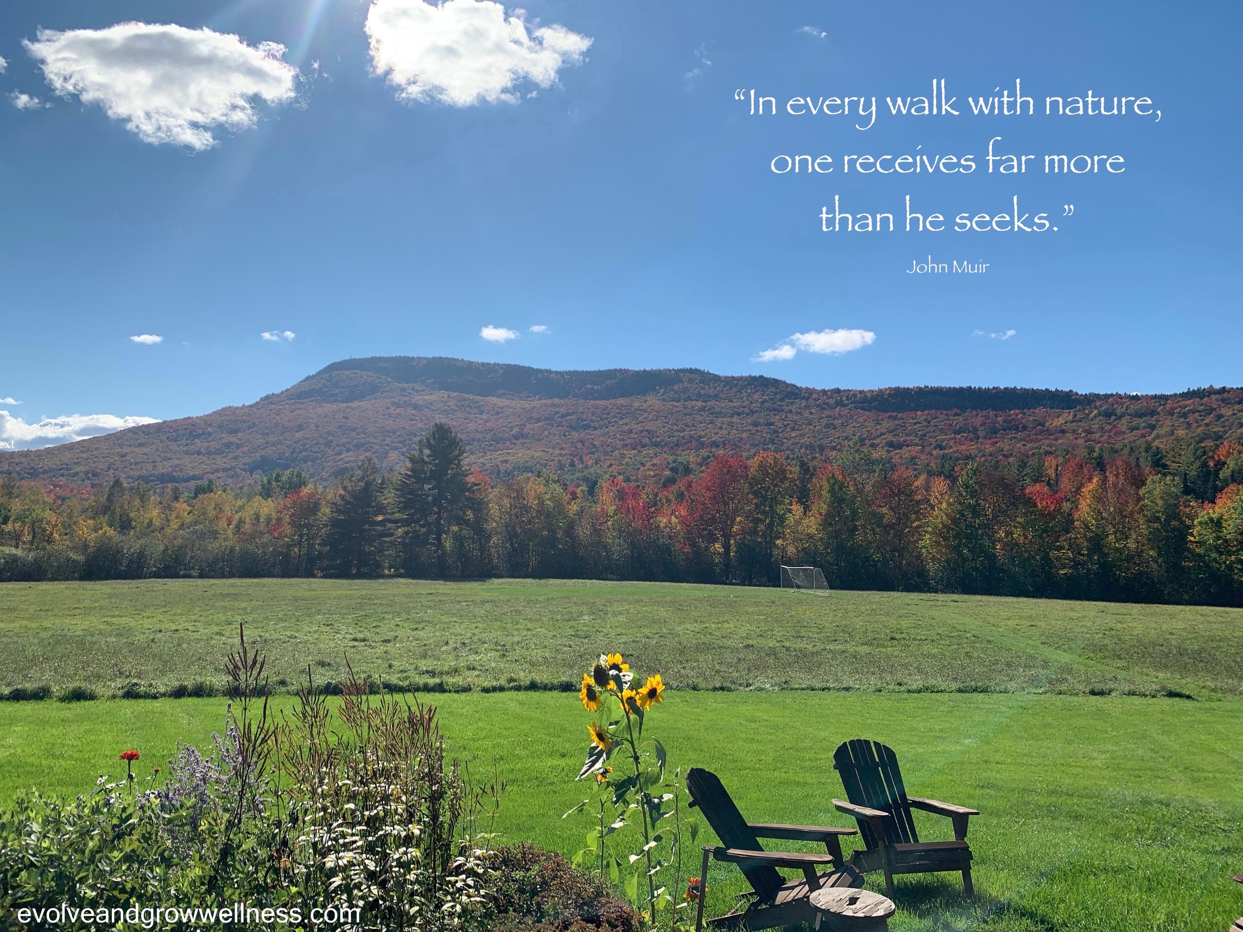 6 Ways Mother Nature Can Nurture Our Physical and Mental Well-Being