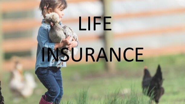Life+Pic+web3%281%29.jpg