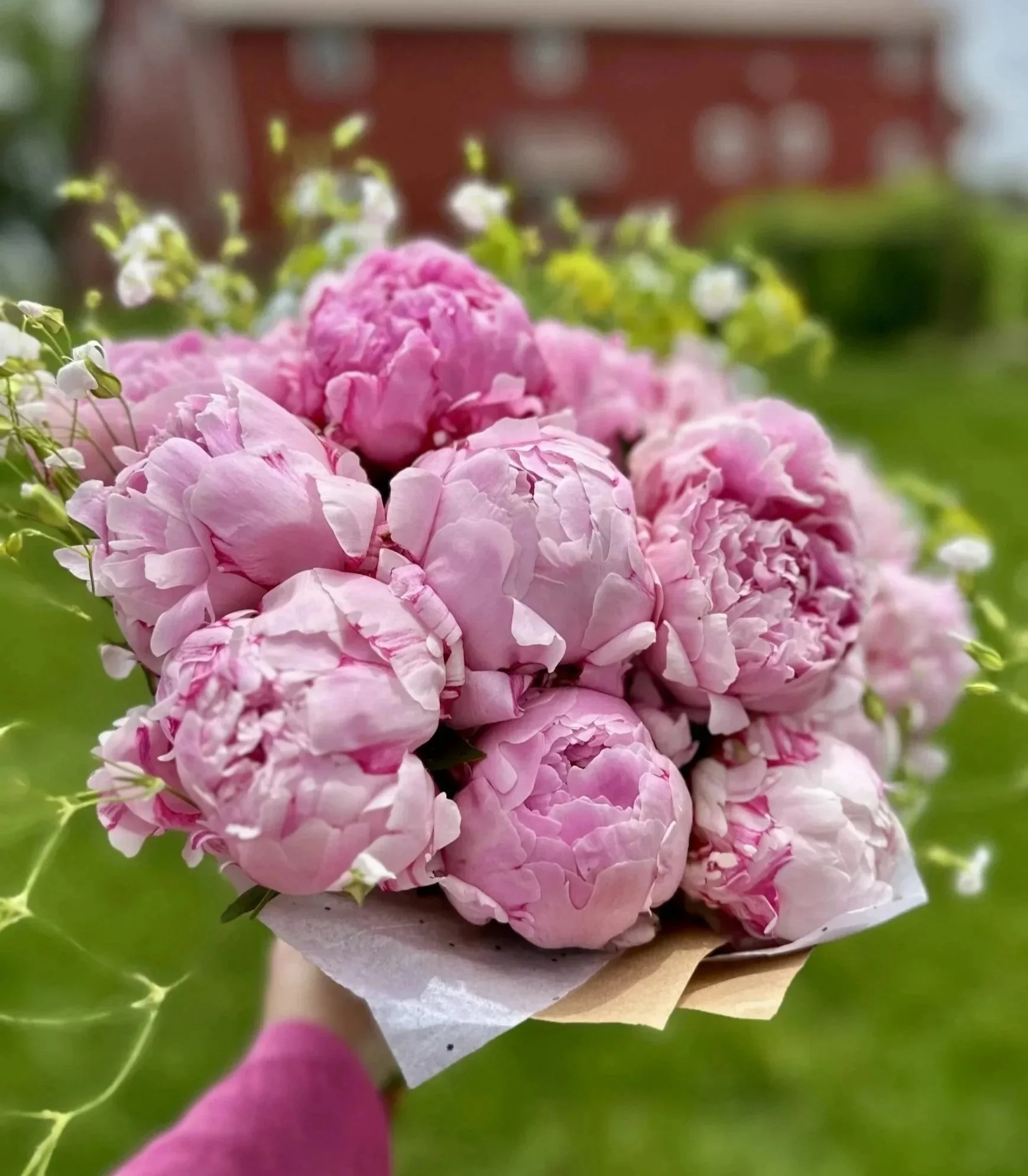 2026 Peony Bouquet Subscription