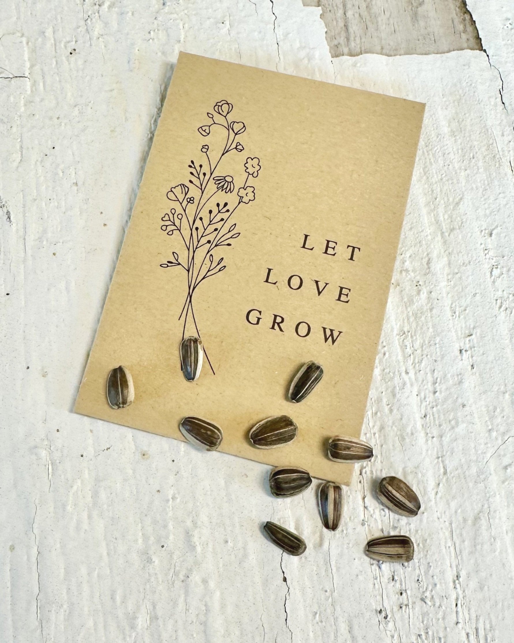 seed+packet.jpg