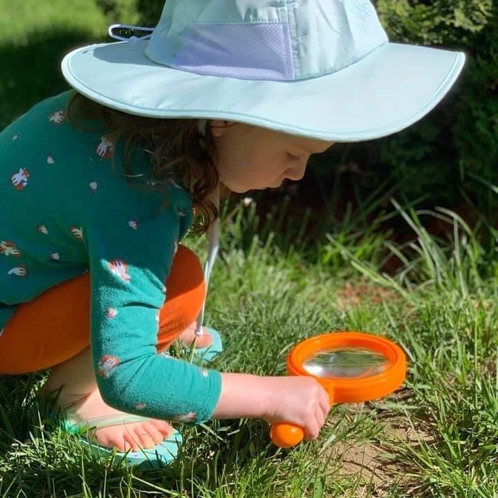 So much discovery to be had! What is your kiddo learning this week?

📷 via Gayle Potter