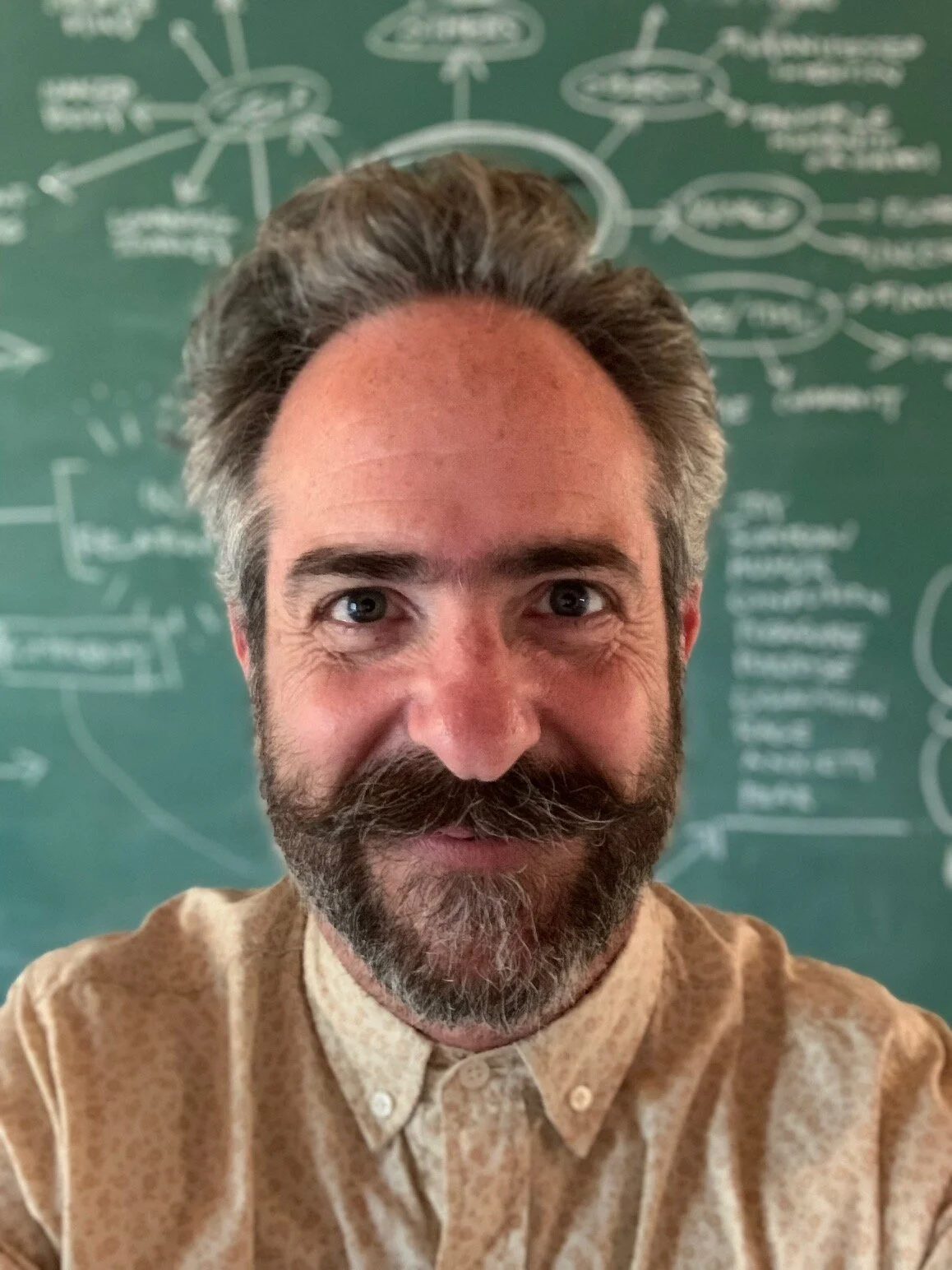 David stands in front of a green chalkboard with various brainstorm images and words. He wears a yellow button up shirt and has a big moustache.