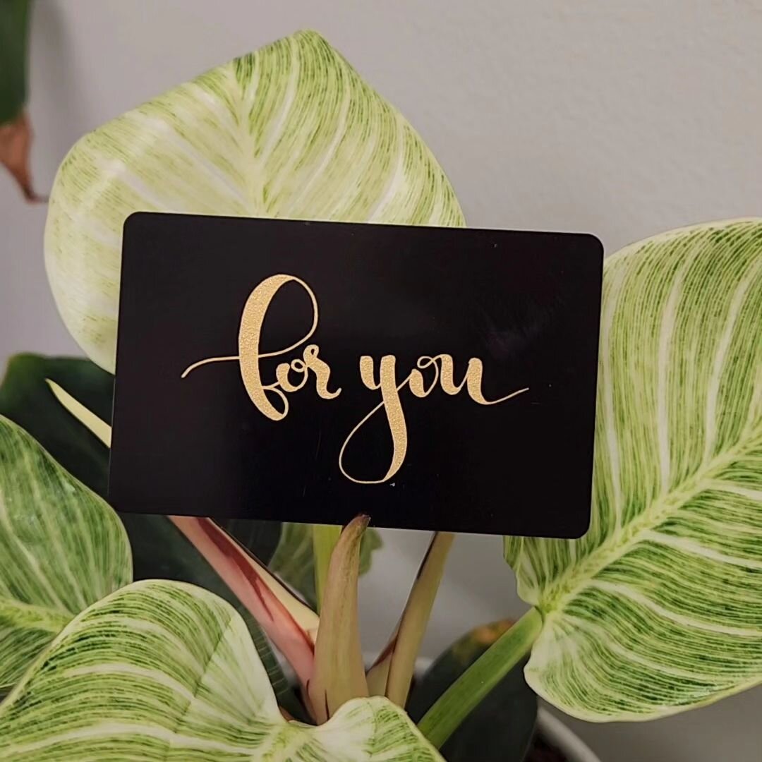 🎶 Who do you love? 🎶
The song got me thinking this morning...

I'm going to argue that the best, most thoughtful gift you could offer a loved one is the gift of self care.
Giving your loved one a gift card from their favorite salon not only communi
