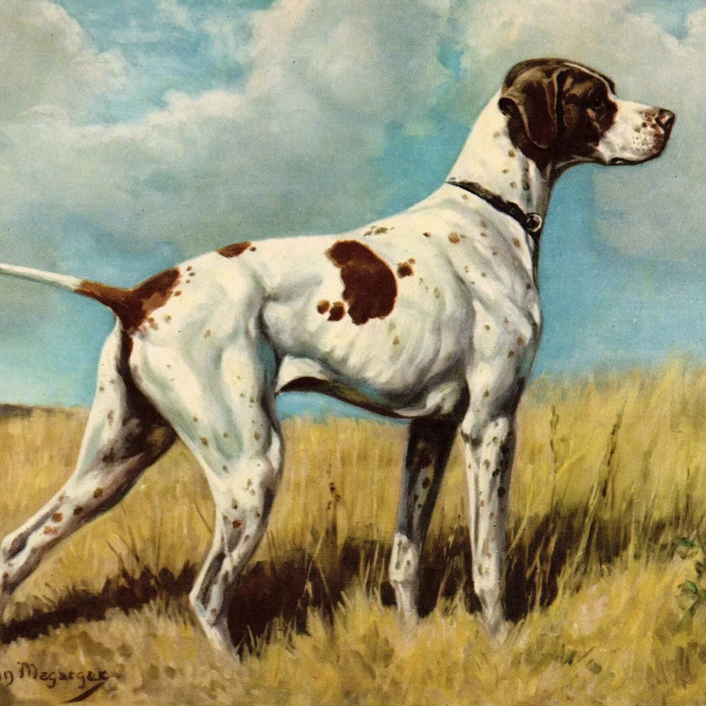 What Are Bird Dog Fees