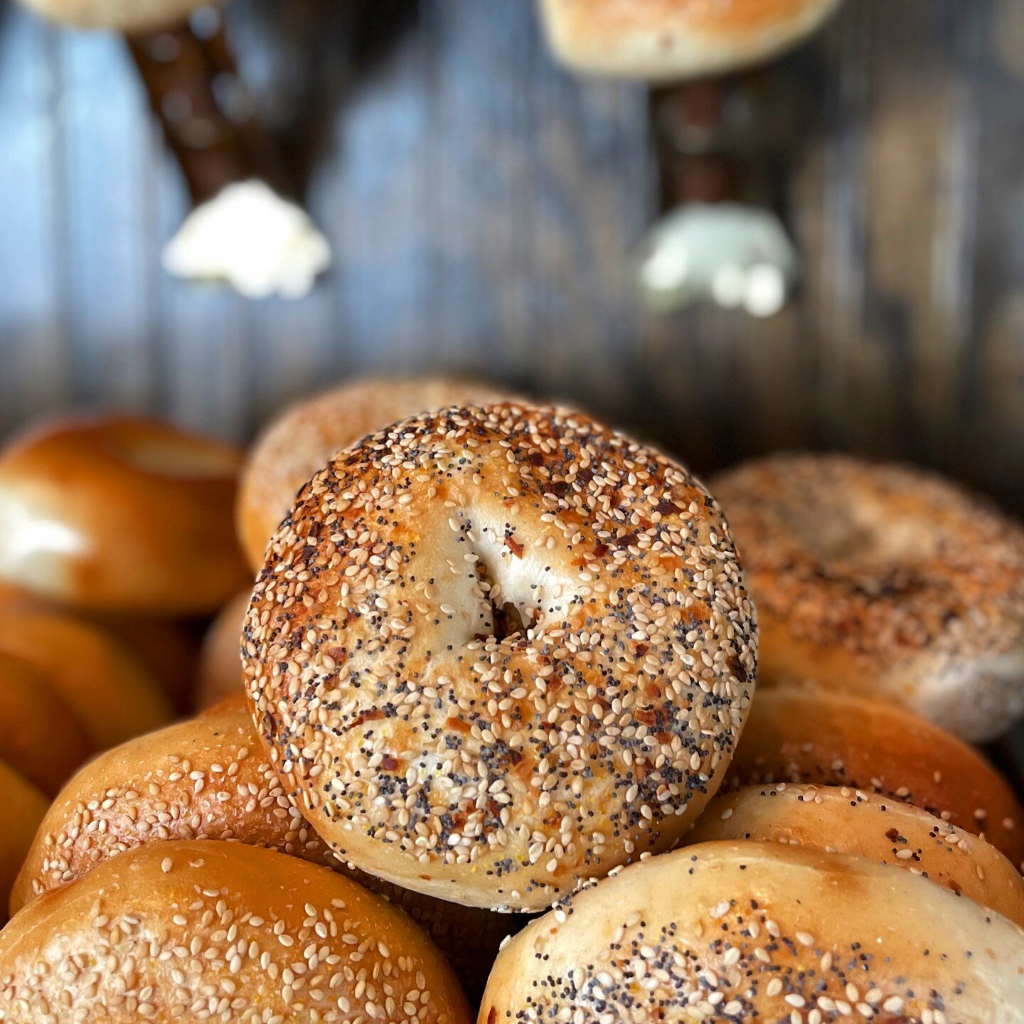 It's an #everythingbagel type of day.

.
.
#deli #food #bagels #salmon #smoke #pastrami #cornedbeef #matzoball #latkes #whitefish #pickle #jewish #delicious #bubby #foodporn #foodstagram #food52 #rye #marblerye #matzobrei #knosh #kvetch #alterkocker 