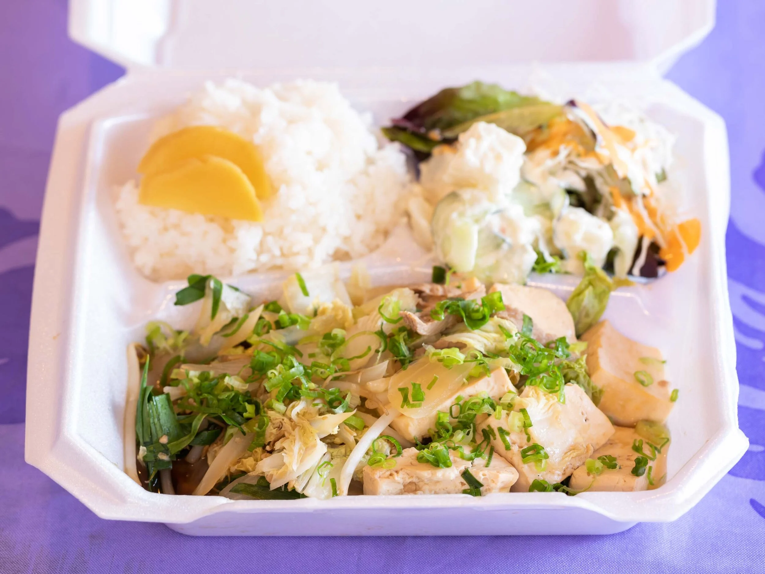 Pork Tofu Plate - pork, tofu, cabbage, green onions, rice and salad