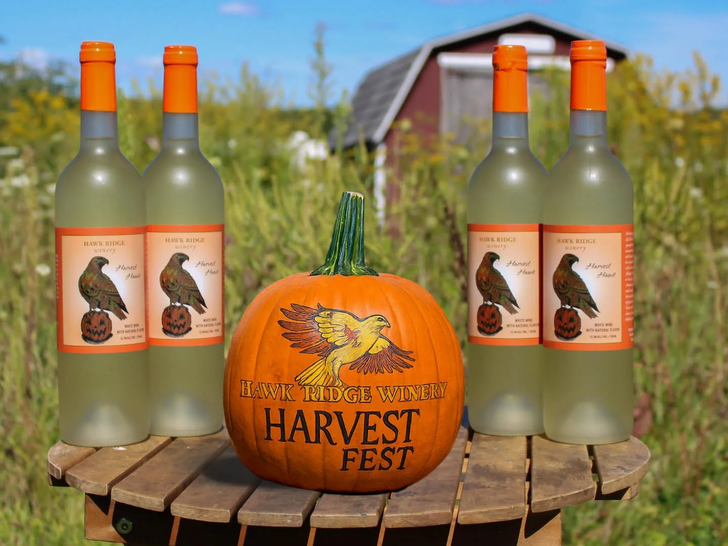 Hawk Ridge Winery’s Fall Festival
