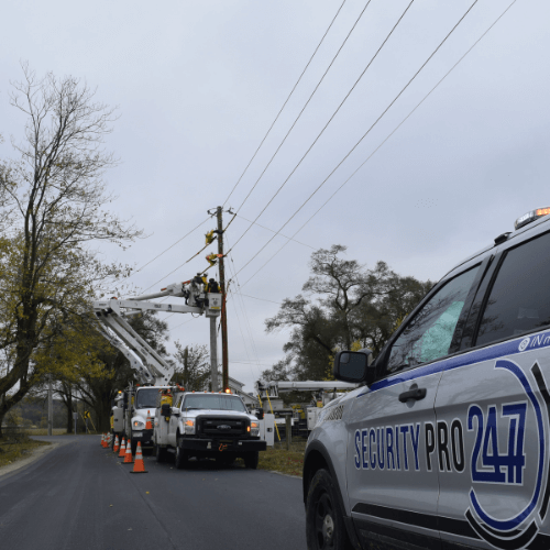 Testimonials — Security Pro