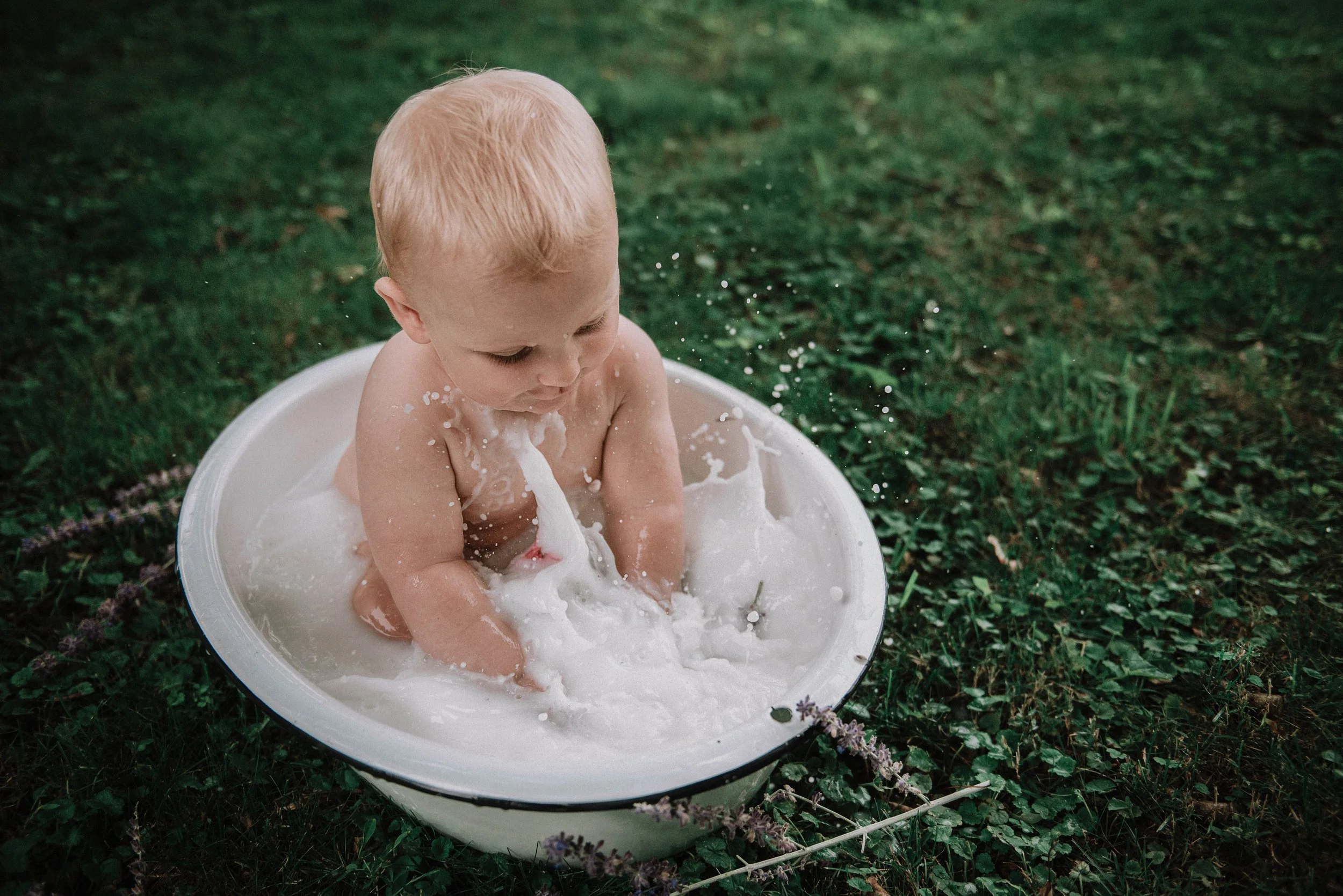 A young child with blonde hair playing and splashing in a white container filled with water outdoors on green grass. Milk bath session.