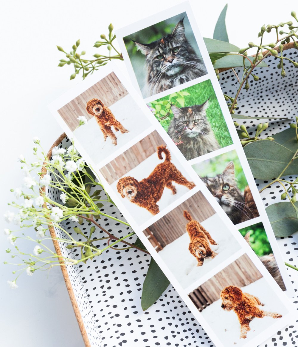 photo-strips-slide-5.jpg