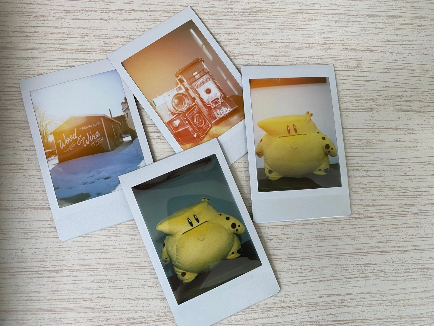 I got myself an Instax! The Cheat is my forever camera and lighting tester, so he graciously stood in so I could try it out with and without flash. I'm still figuring it out, but I'll be adding some instant film shots to my wedding and elopement cove