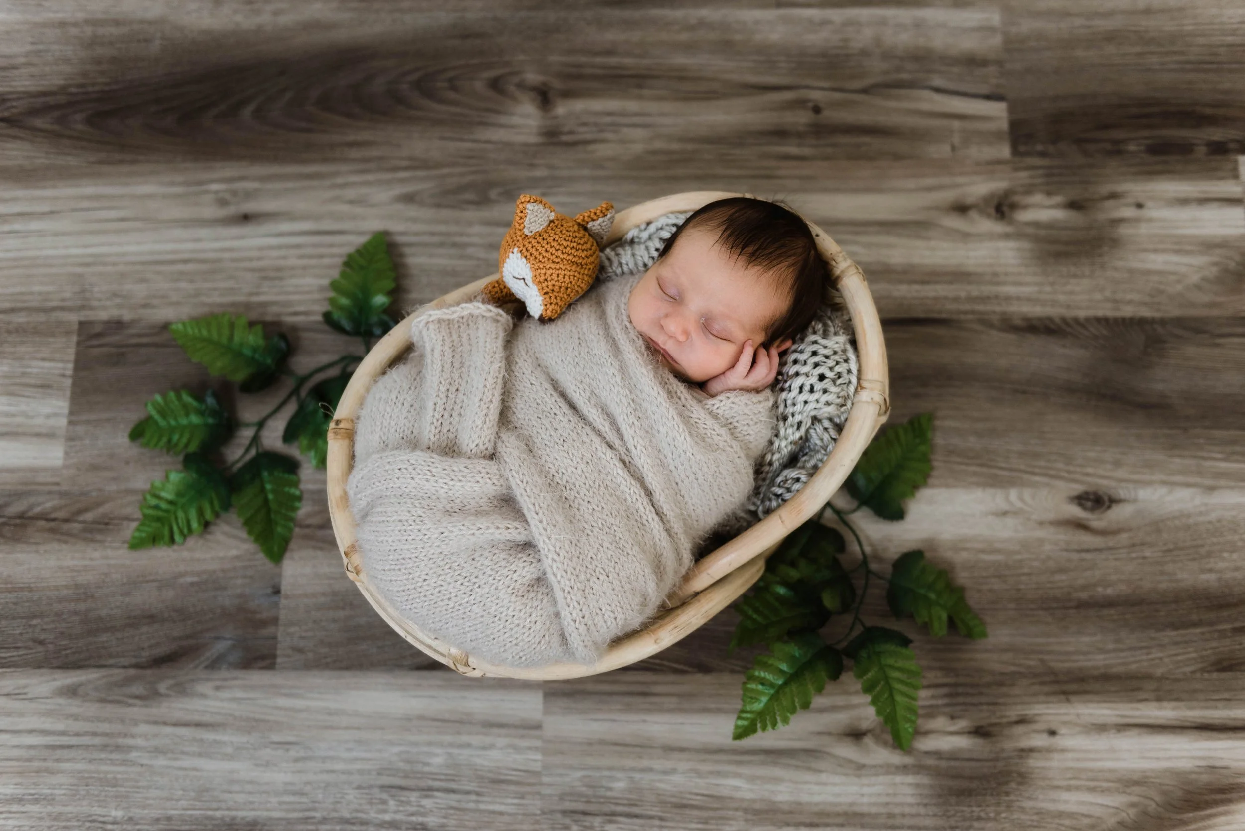 A sleeping baby wrapped in a beige knitted blanket, lying in a wicker basket on a wooden floor, with green fern leaves underneath. Studio newborn portrait, Brownsville PA.