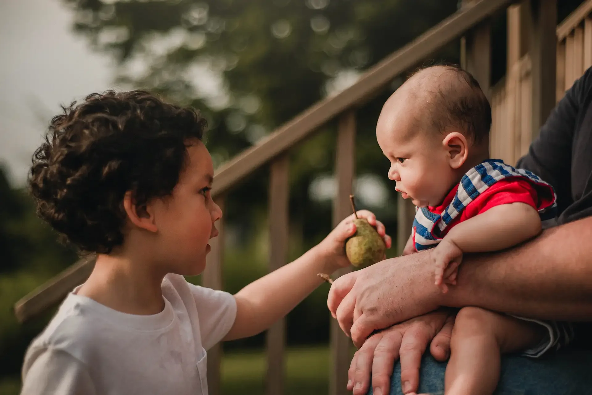 A baby sits on his father's lap, you can see dad's hands around him. His toddler older brother is handing him a pear that he definitely can't eat. 