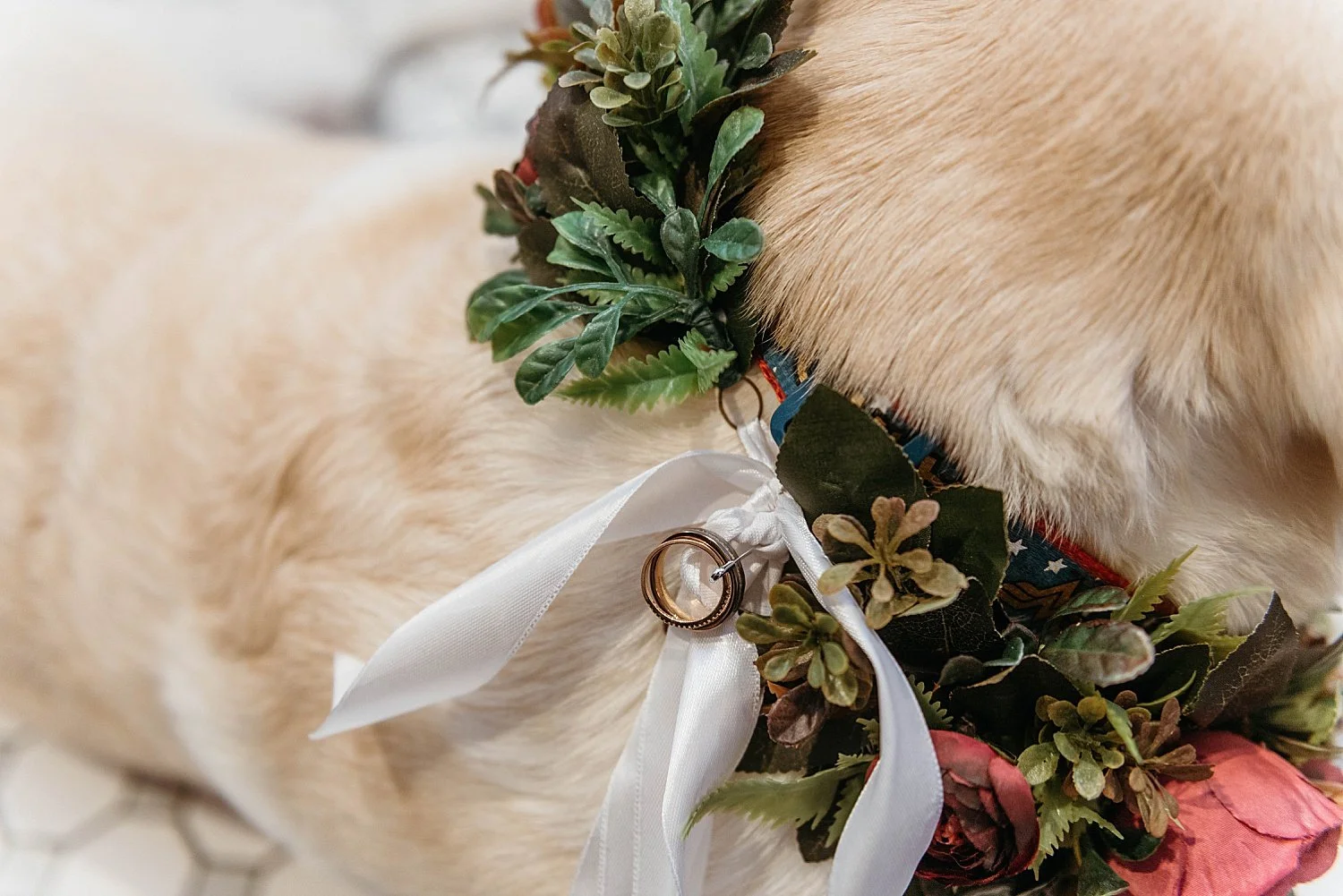 Detail shot of dog's collar, decorated with roses and greenery, with rings pinned to a ribbon