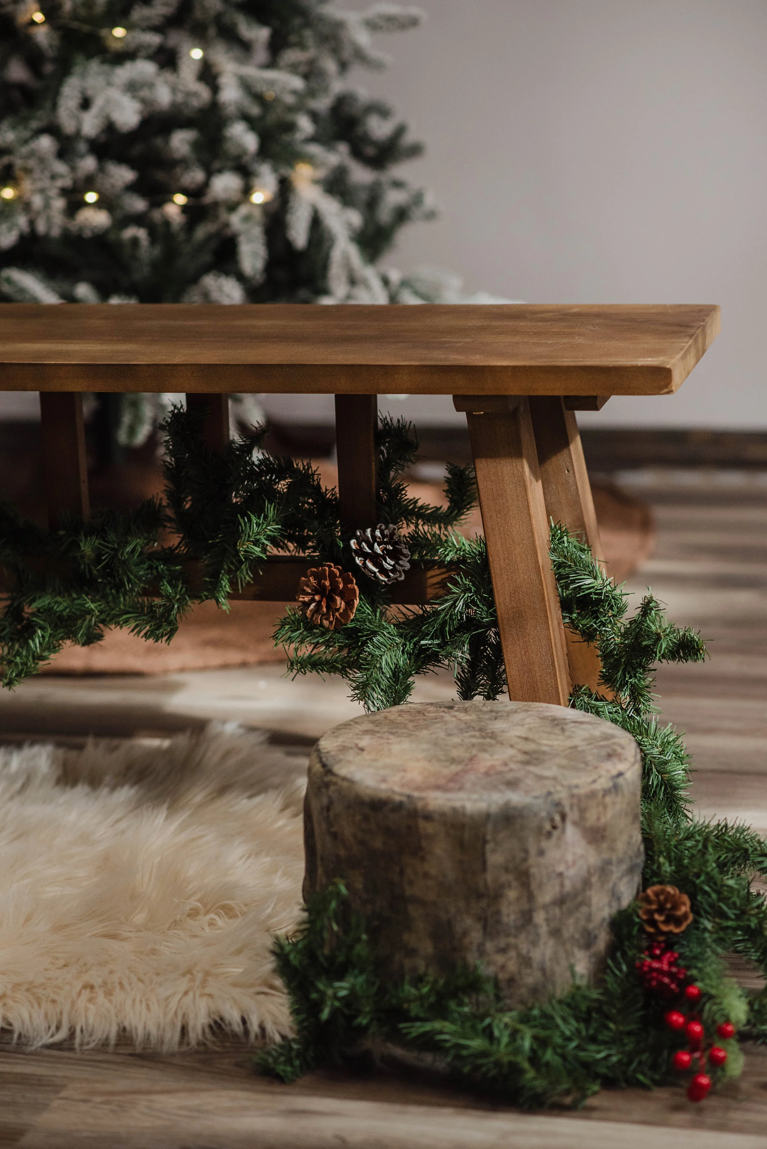 christmasminis-2.jpg