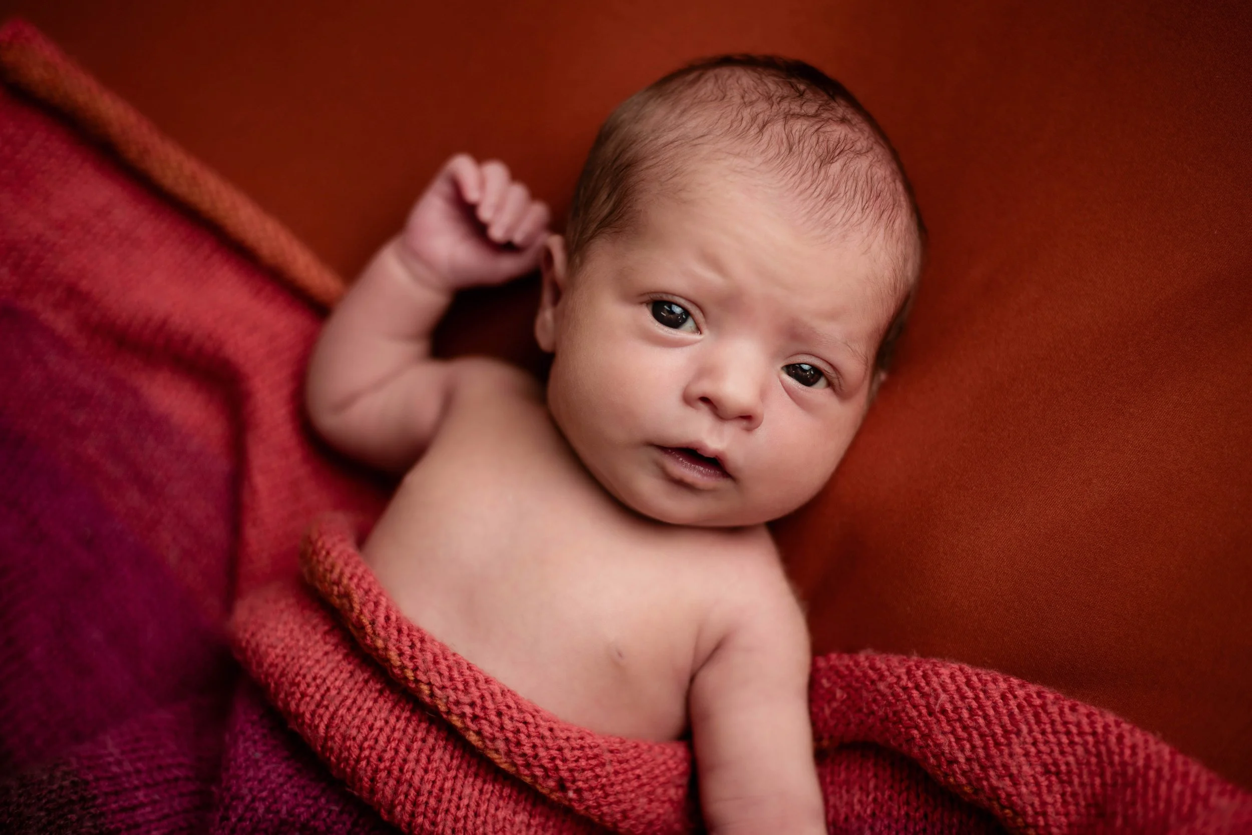Close-up of an infant with a curious expression, wrapped in a red blanket, lying on a soft orange background. Studio newborn portrait, Uniontown PA.
