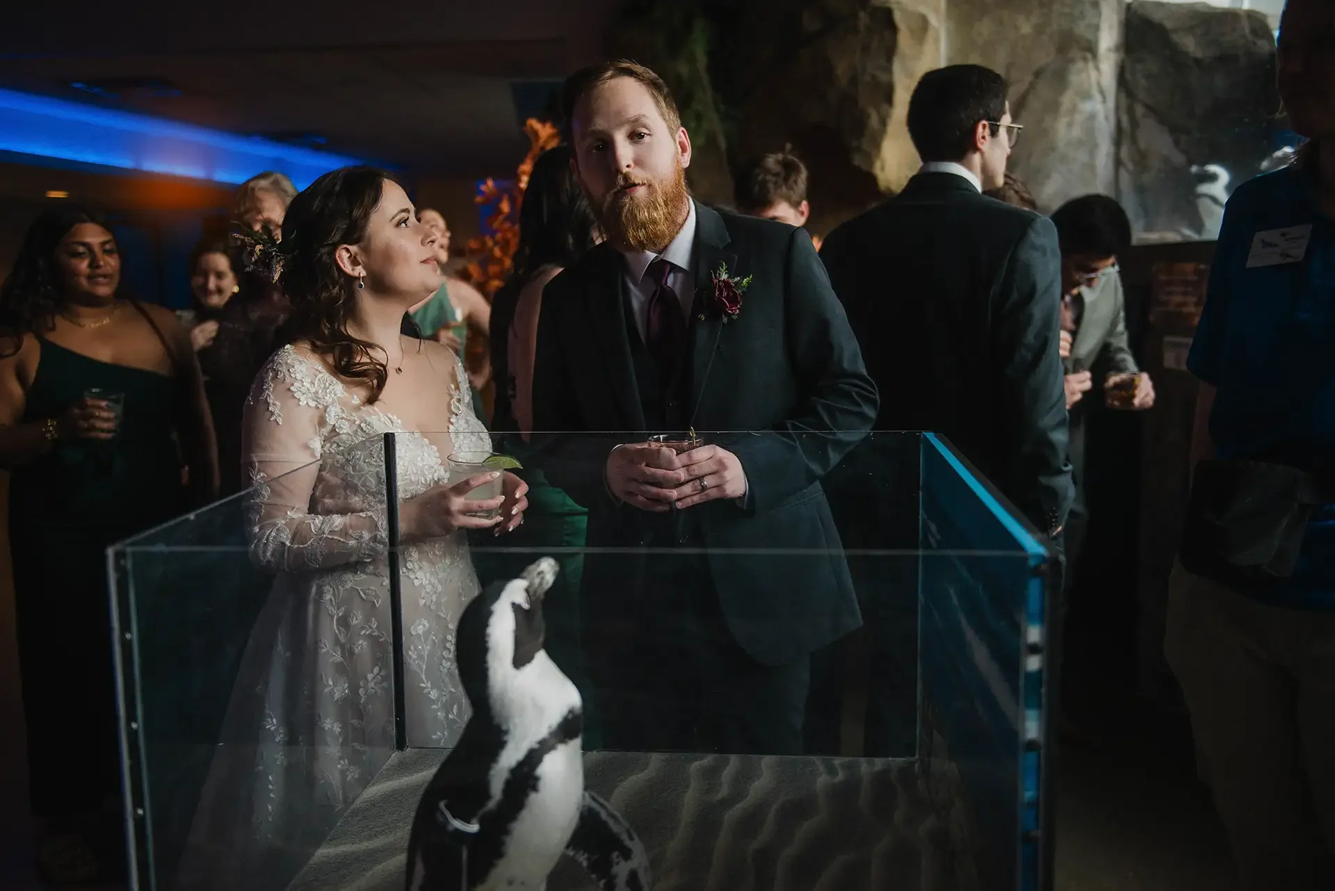 A bride and groom meet Wyatt the penguin at their Aviary microwedding. 