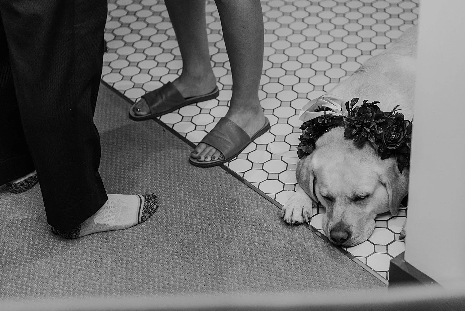 black and white photo that shows feet on a tile floor, where a dog lays her head down to rest.