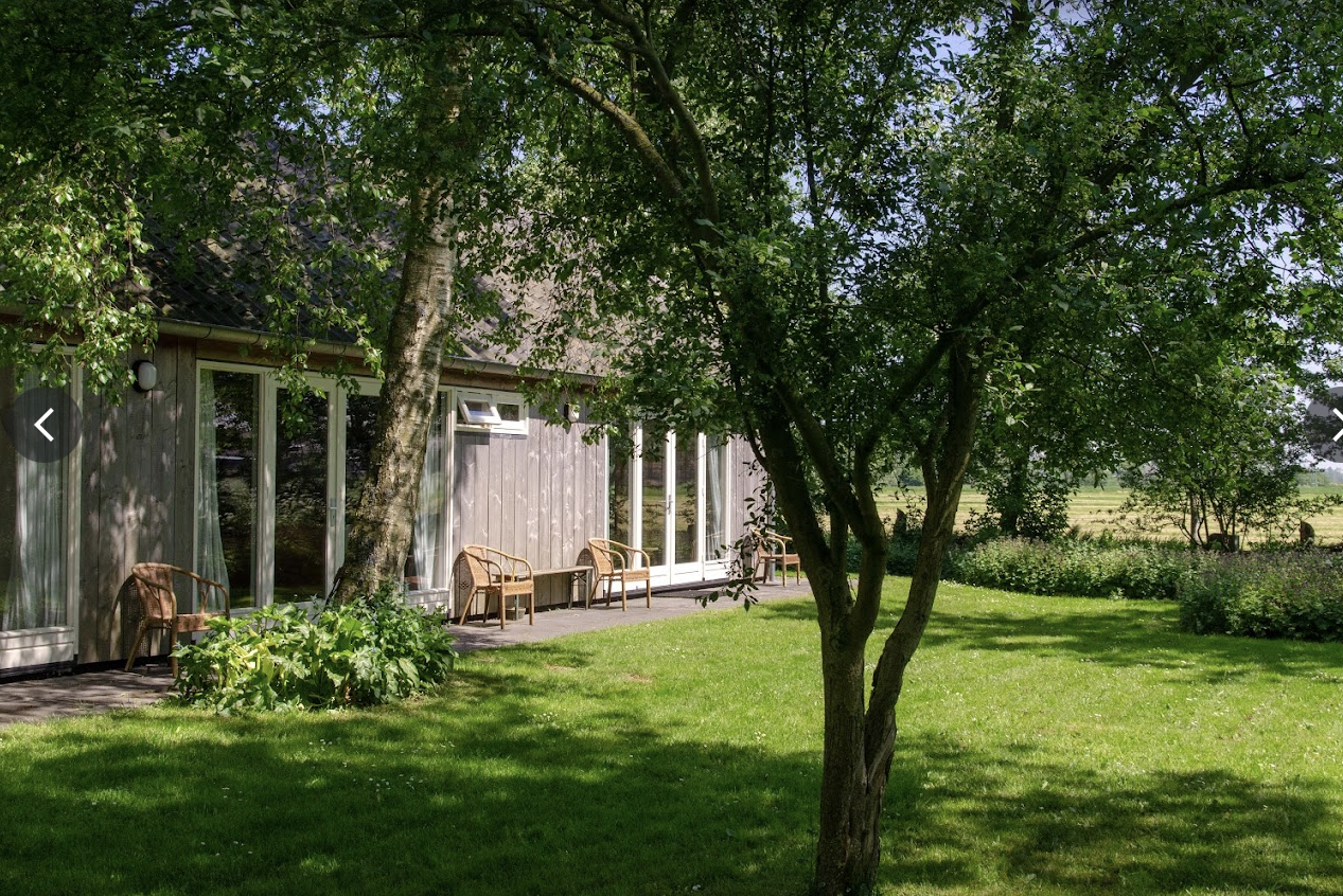 One-day-Retreat | Een nieuwe beweging in liefde (Zomer-editie)