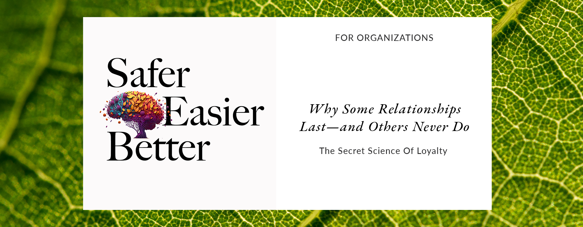 Book cover titled "Safer Easier Better" with subtitle "Why Some Relationships Last—and Others Never Do" and additional text "The Secret Science Of Loyalty". The background features a green leaf pattern.
