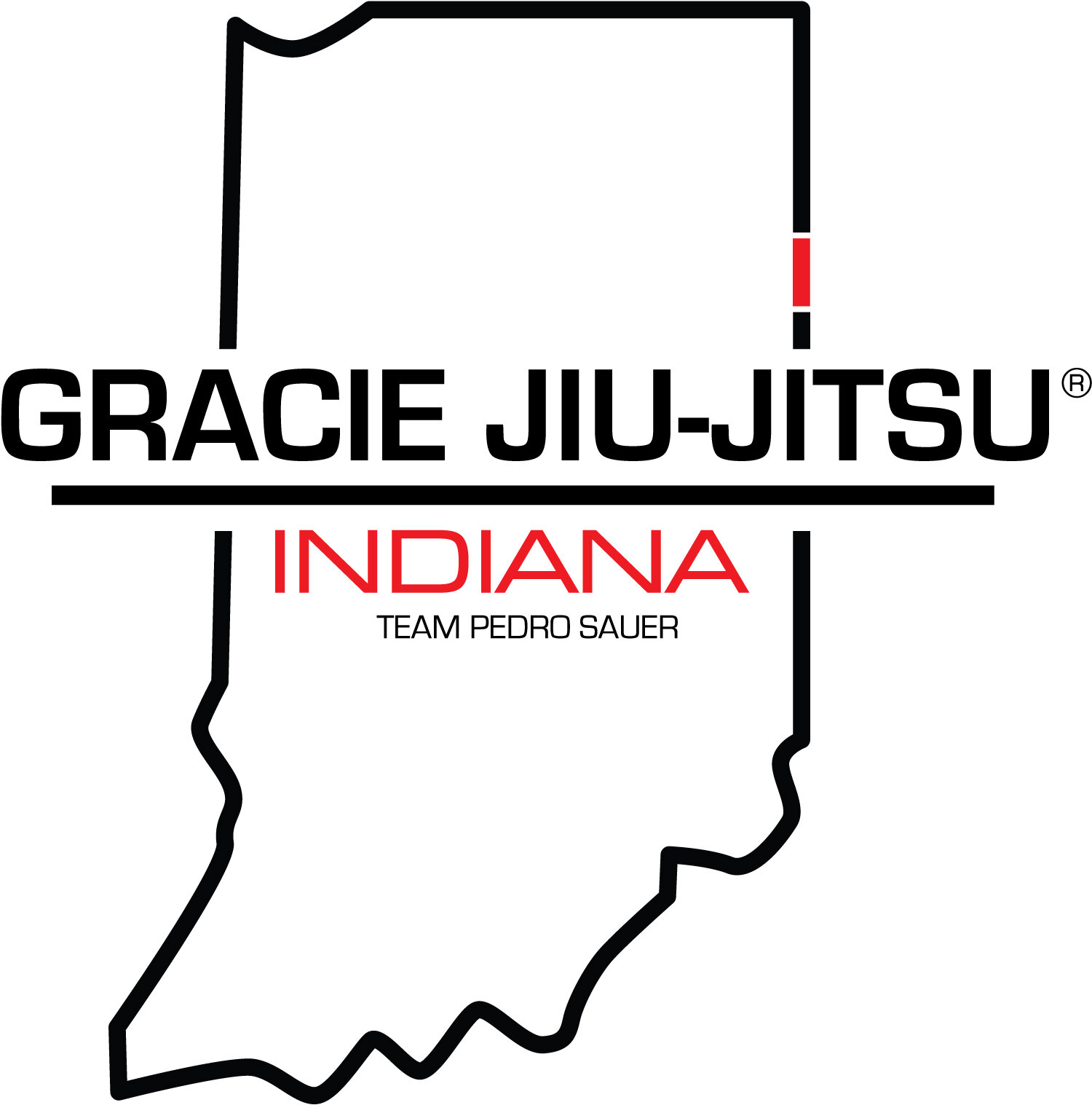 Gracie Jiu Jitsu of Indiana Team Pedro Sauer